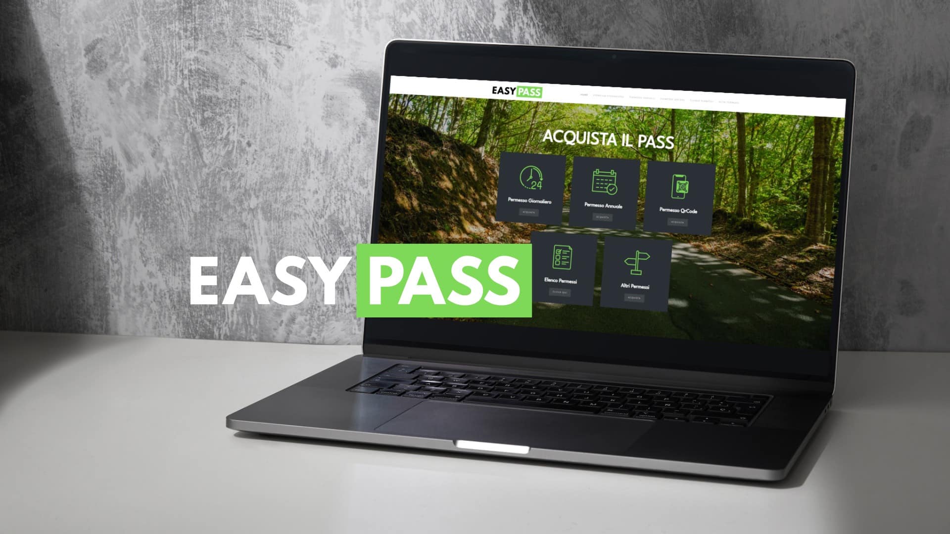 easypass