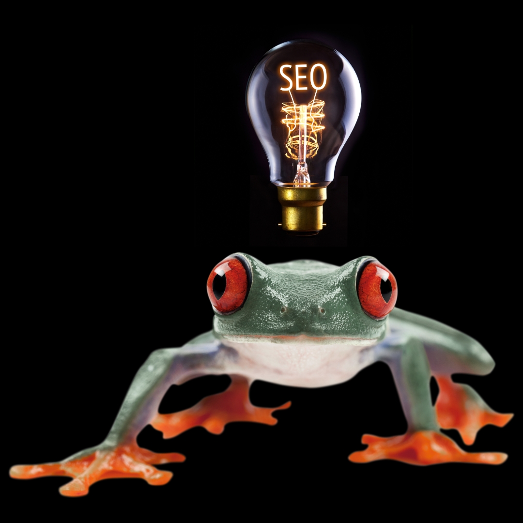 rana seo lampadina
