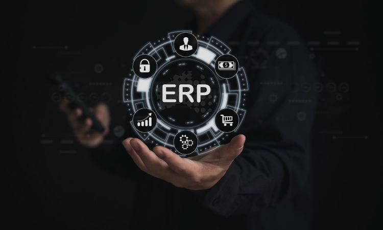 gestionali e erp