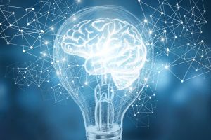 digital brain