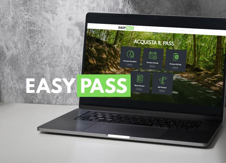 easypass software mockup